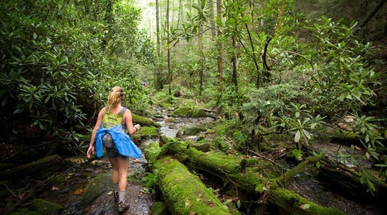 Milton has retained the Georgia Conservancy to advise the city on land acquisitions under a $25 million greenspace bond program. AJC FILE