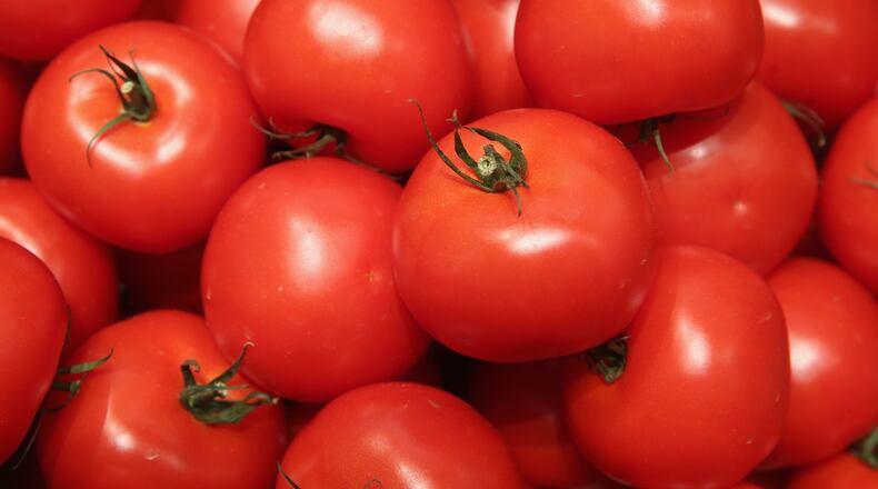 Tomatoes once had a very distinct flavor, which has been lost over the years in the mass production of the fruit, but now Florida scientists are hoping to grow a tomoto that tastes better.