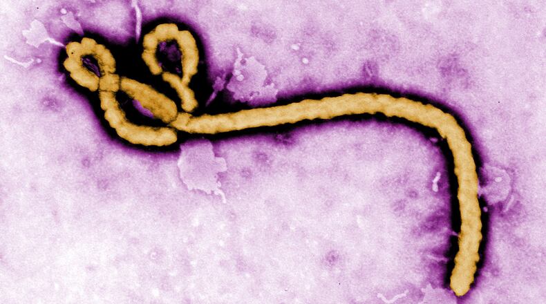 UNDATED: In this handout from the Center for Disease Control (CDC), a colorized transmission electron micrograph (TEM) of a Ebola virus virion is seen.