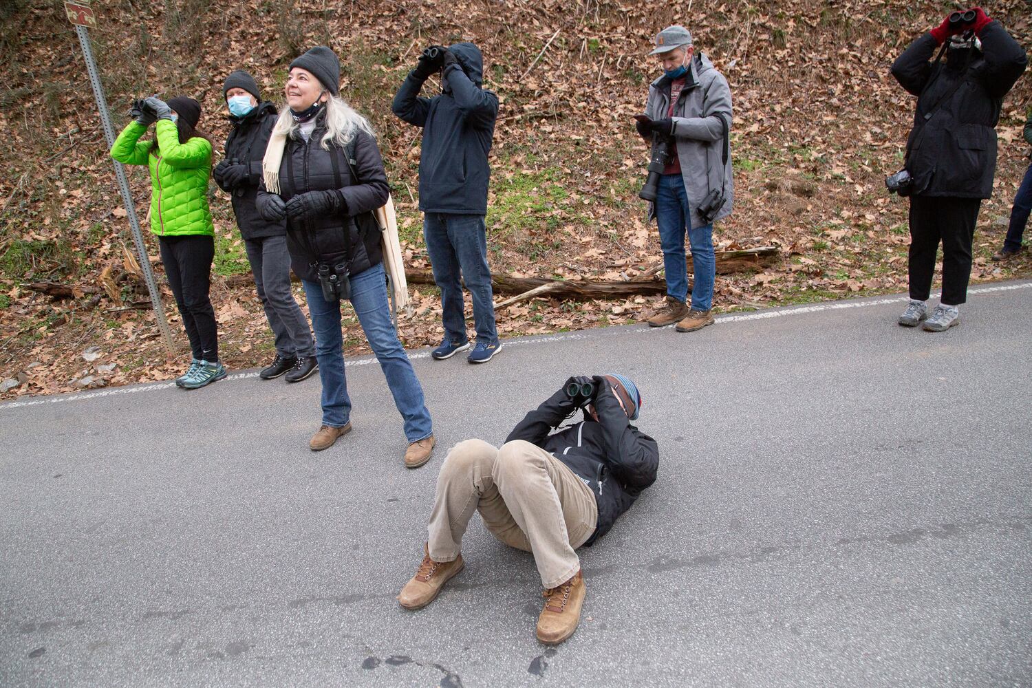Bird Walk and Wildlife Viewing at Morgan Falls Overlook Park