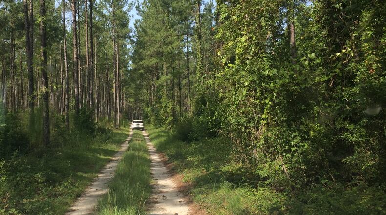 A driver follows a dirt trail through a remote timber farm along the proposed route of the Palmetto Pipeline.