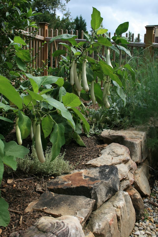 A garden bed features edible elements created for a Candler Park home by Viridis Garden Design. (Courtesy of Viridis Garden Design)