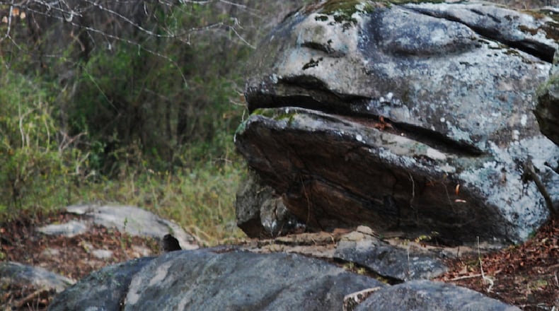 Frog Rock is estimated to be a 5,000-year-old carving, according to Ian Simpson with the Lithia Springs Water Company, an advocate for its preservation. Simpson asked the Austell City Council on March 4 to provide an update on the carving’s upkeep. (Courtesy of Lithia Springs Water Company)