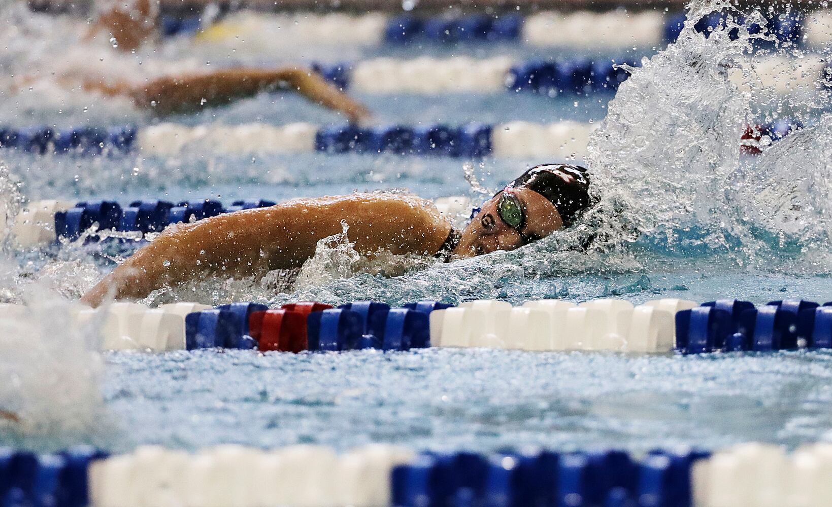 NCAA swimming and diving