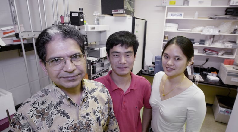 Harish Joshi, left, Associate Professor of Cell Biology at Emory Univserity, with two doctoral students, Jun Zhou center, and Joyce Yao, in the cell biology labs at Emory Wednesday on Aug. 23, 2000. (Kimberly Smith/staff)