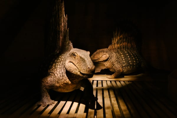 "The Sphenacodontid Kind," Dimetrodon, is displayed at the Ark Encounter in Williamstown, Ky., Friday, March 21, 2025. (AP Photo/Madeleine Hordinski)