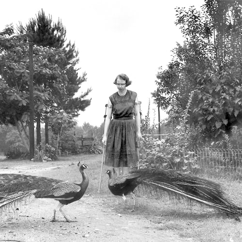 This 1962 photo shows author Flannery O’Connor in the driveway at Andalusia outside of Milledgeville. The author spent the last 13 years of her life on her family's middle Georgia dairy farm, completing her best-known works, including “A Good Man Is Hard To Find.” A new book, “Flannery and Regina: The Andalusia Chronicles,” explores her relationship with her mother there. (Joe McTyre /AJC)