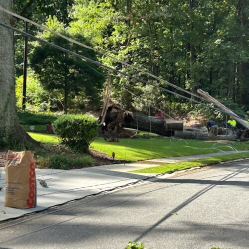 A fallen tree on Alderbrook Road in DeKalb County caused a power disruption at Sagamore Hills Elementary School. (Courtesy of DeKalb County School District)