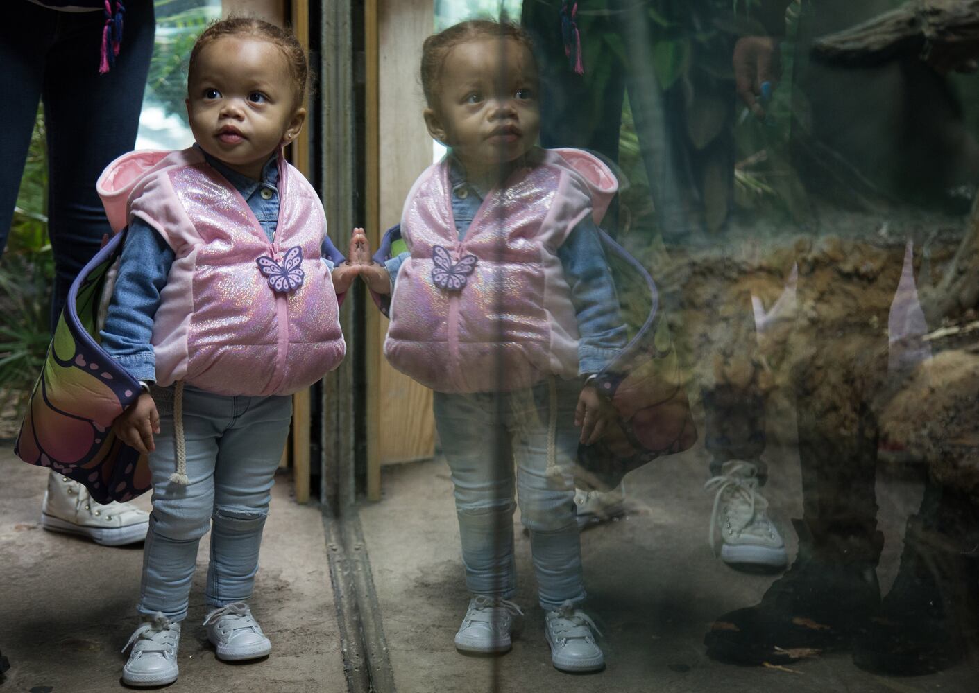 Boo At The Zoo
