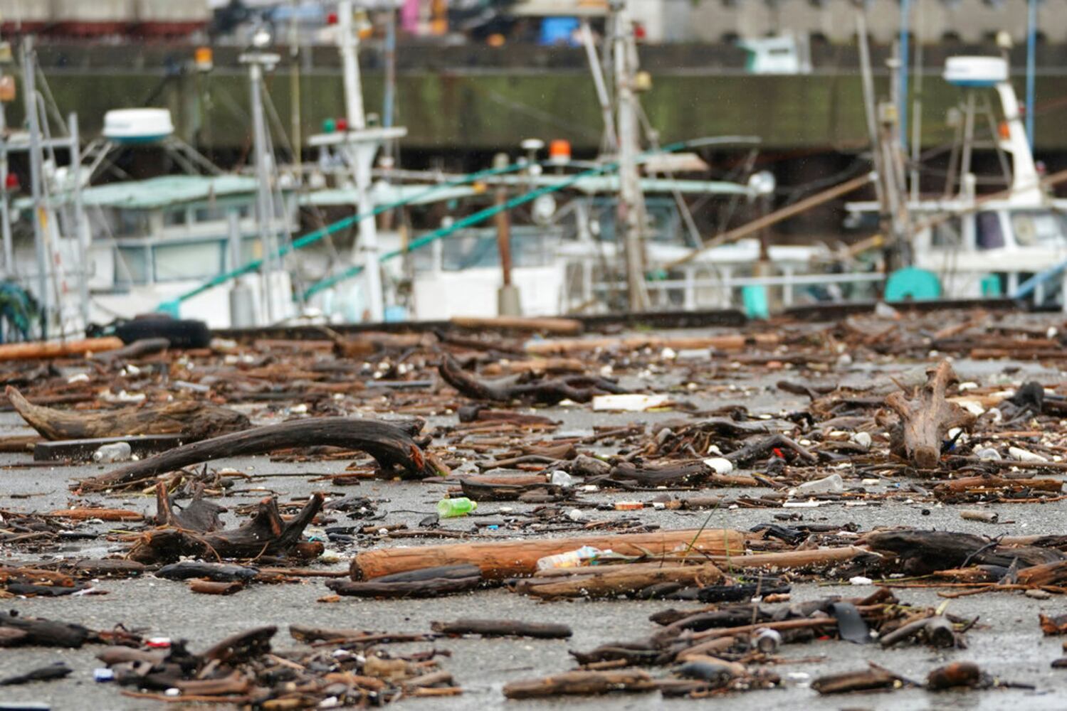 Typhoon Hagibis