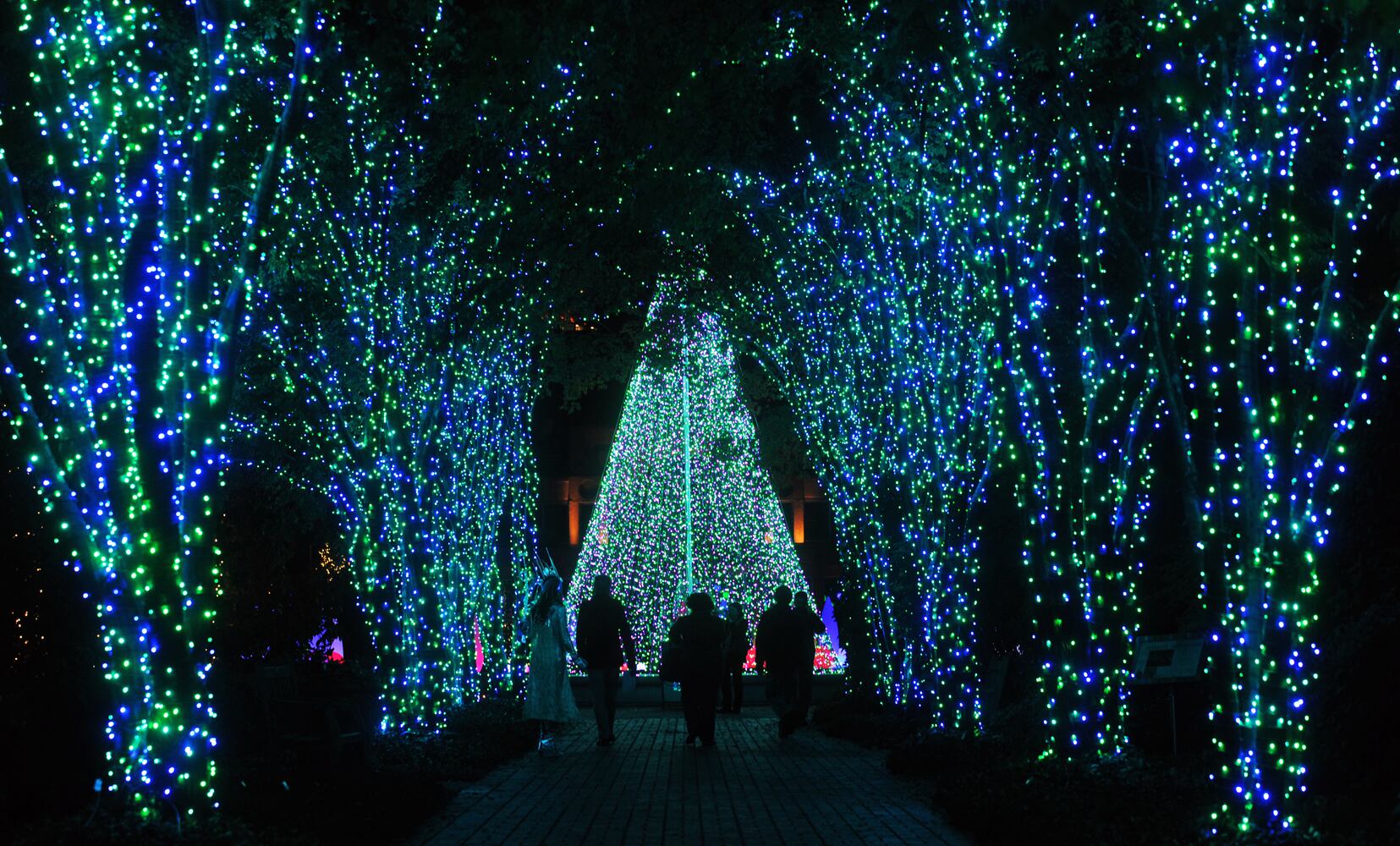 Holiday Lights at Atlanta Botanical Gardens