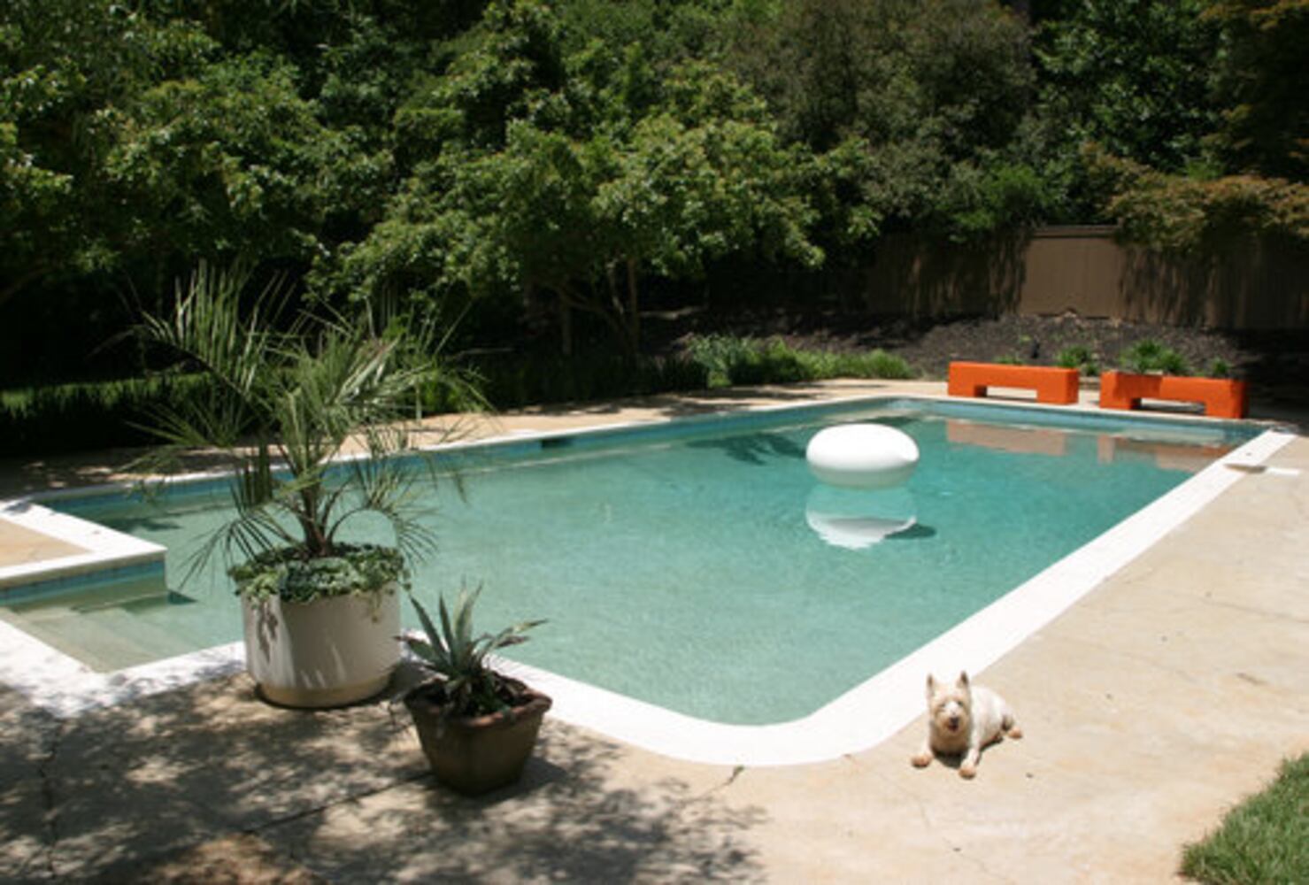 Mid-Century modern: A house to see through
