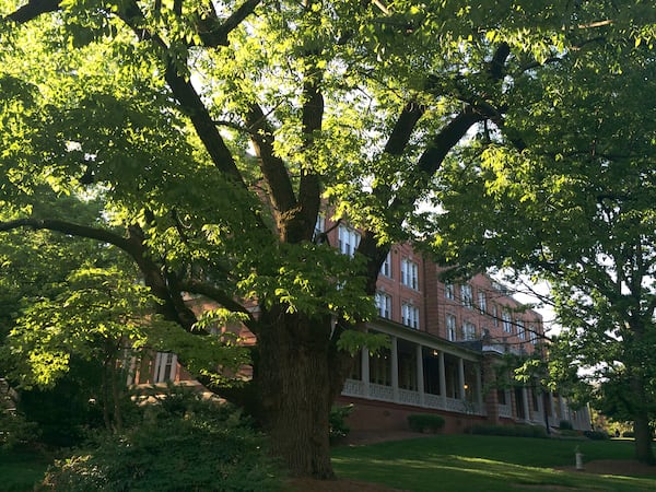 The 'Battle of Decatur' White Ash on the Agnes Scott campus