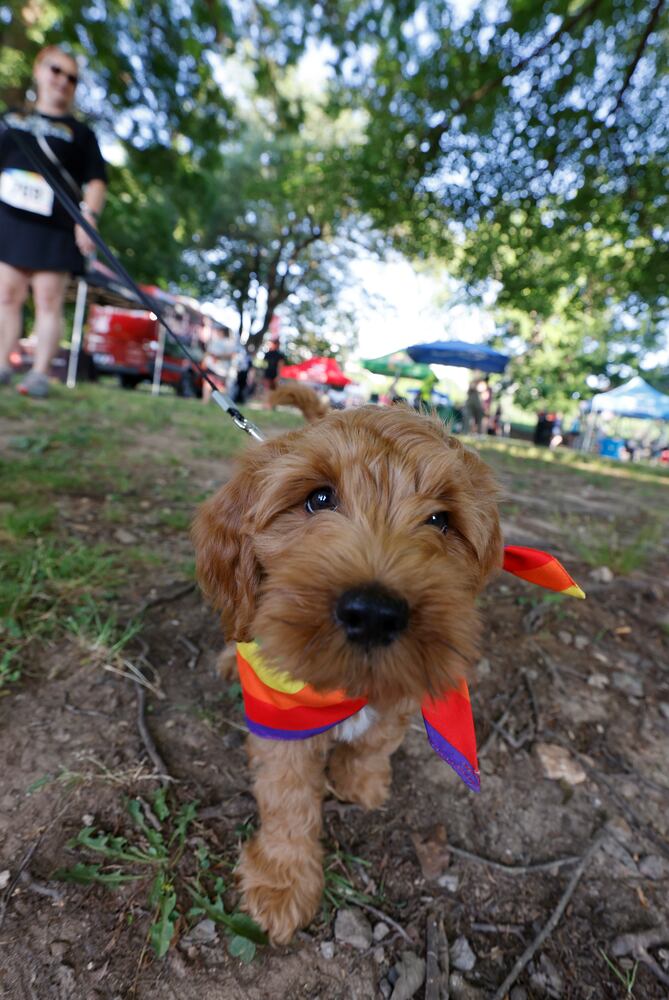 PRIDE RUN PHOTOS