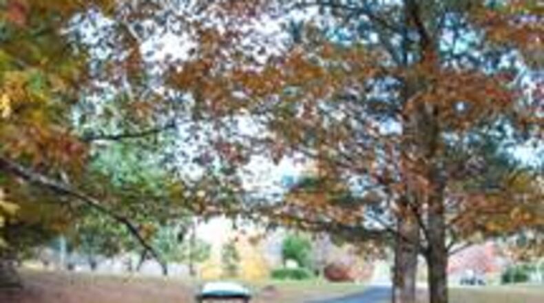 Peachtree City residents will soon receive a three-year registration renewal for their golf carts. Courtesy Peachtree City