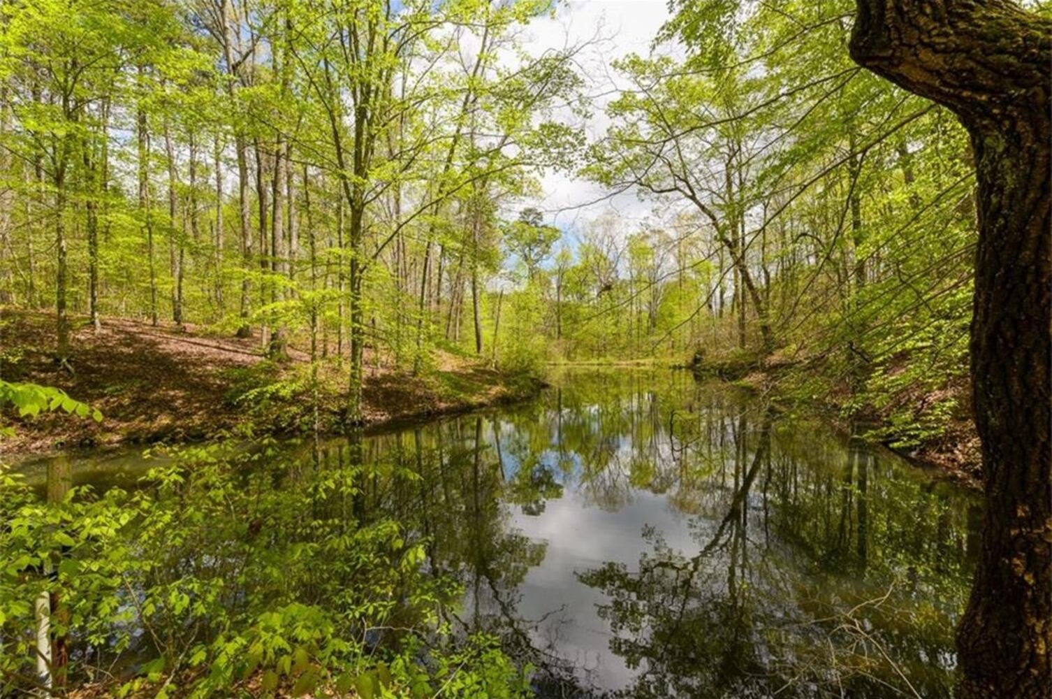 754 Martins Chapel Road, Lawrenceville