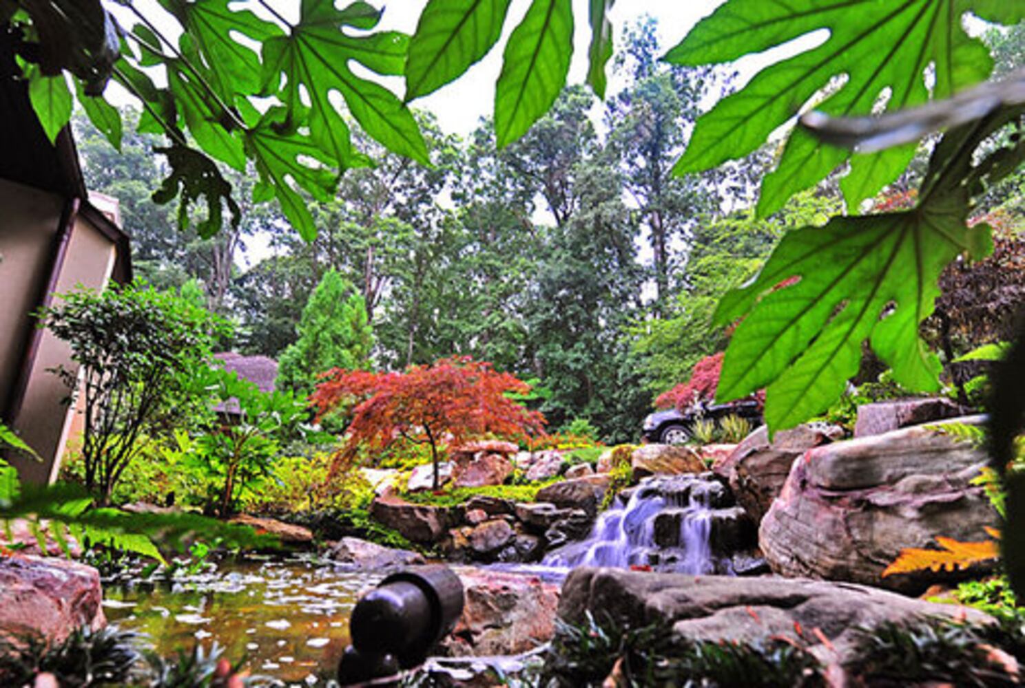 California dreaming in Buckhead