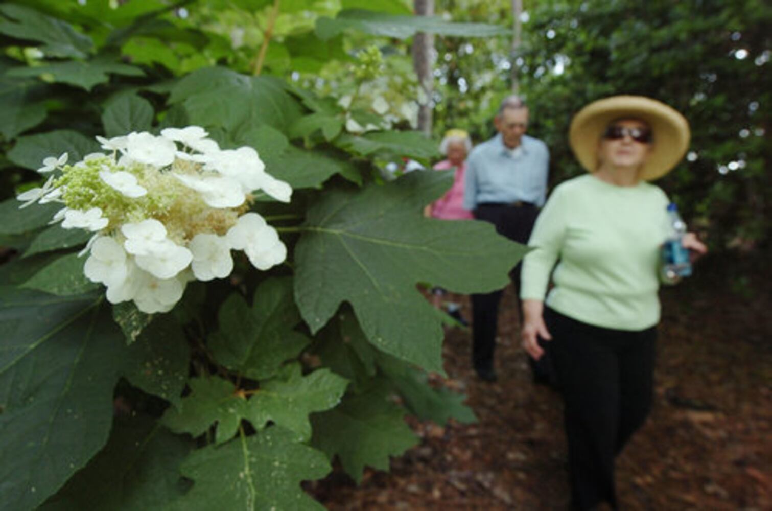 The Smith-Gilbert Arboretum: Home to flowers, birds and sculptures