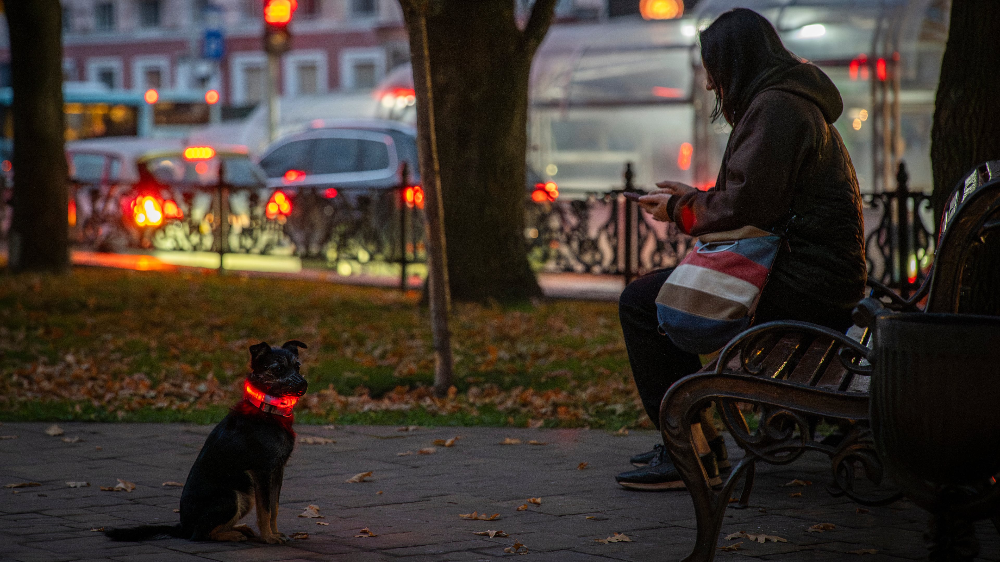 A local resident sits on a bench with her pet dog during a blackout following Russia's air attacks on energy facilities in Chernihiv, Ukraine, late Tuesday, Oct. 7, 2025. (AP Photo/Dan Bashakov)