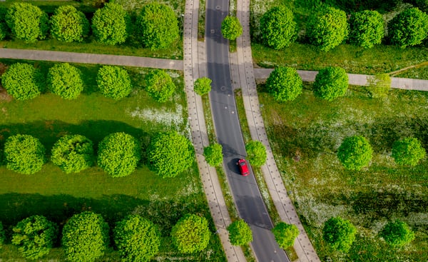 FILE - A car drives between trees in a small park in Frankfurt, Germany, April 8, 2024. (AP Photo/Michael Probst, File)