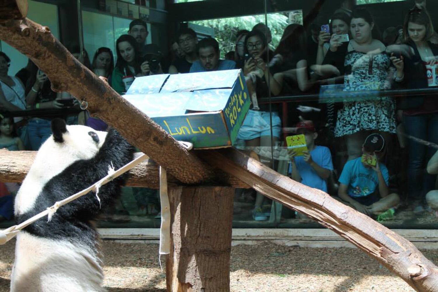 Lun Lun