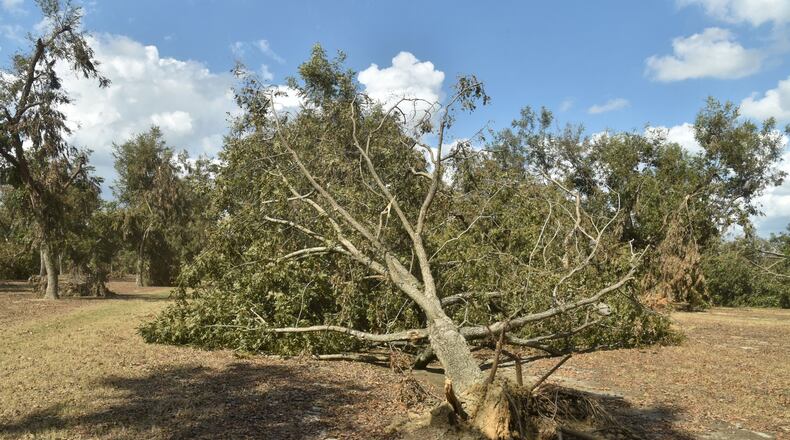 Among the places hit by Hurricane Michael was Pecan Ridge Plantation in Bainbridge, Ga., where many of the farm’s pecan trees lay bent over, split open, shattered. HYOSUB SHIN / HSHIN@AJC.COM