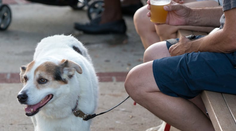 Angie, an 11-year-old husky/beagle mix, hangs out with a beer-drinking friend on Food Truck Friday during the Duluth’s weekly summertime bash, Fridays-N-Duluth. (Casey Sykes for the Atlanta Journal-Constitution)