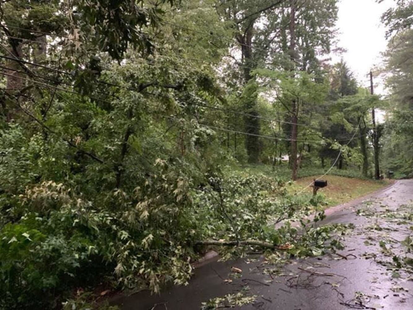 PHOTOS: Trees down after storms in metro Atlanta