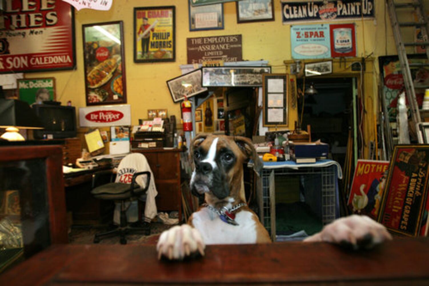 Adventures in intown antiques shopping