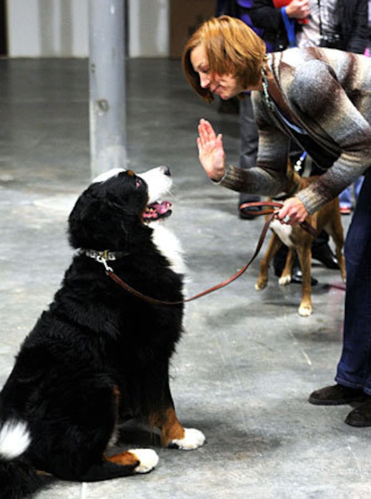 It's Me or the Dog' casting call