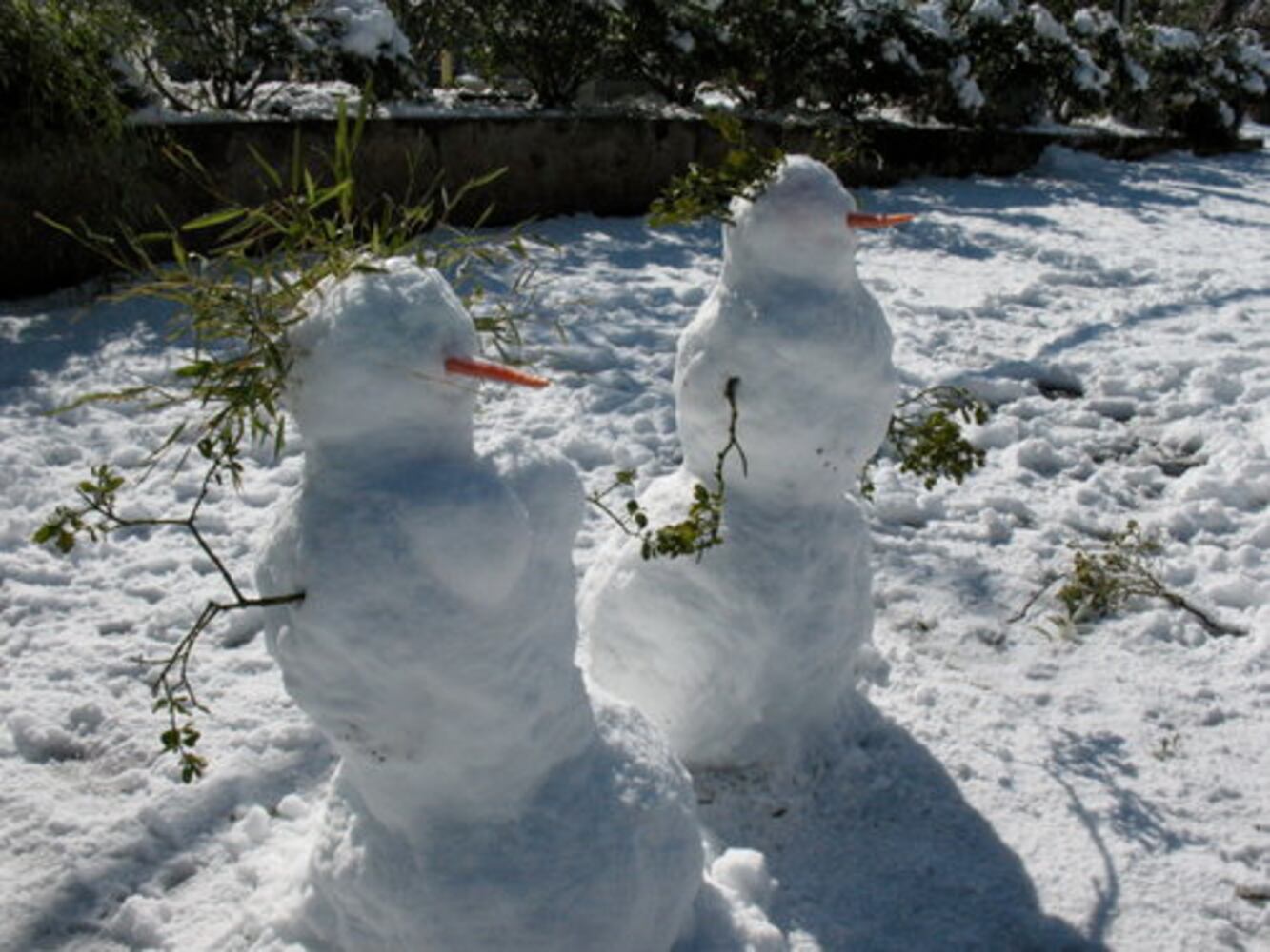 Snowstorm aftermath: Ice and fire