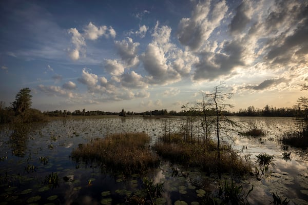 The Okefenokee National Wildlife Refuge is one of Georgia's natural treasures. 