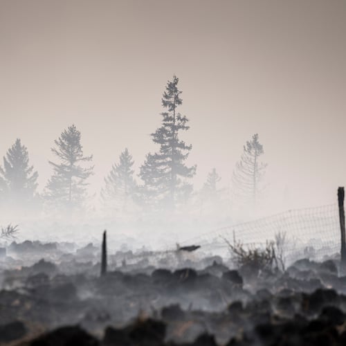 Smoke rises from a scorched field as a wildfire burns near Waimes, Belgium, Monday, Aug. 17, 2026. (AP Photo/Valentin Bianchi)