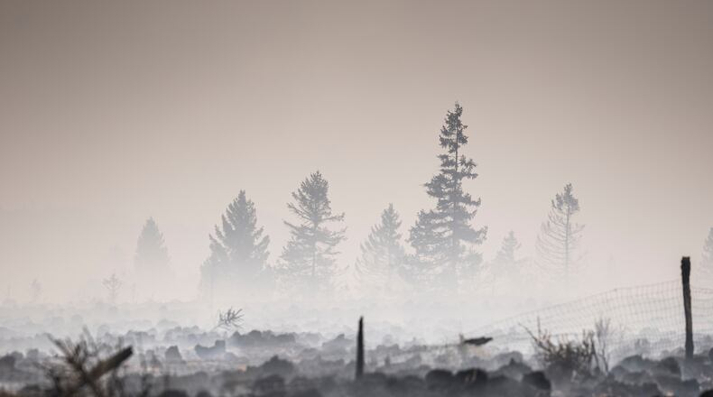Smoke rises from a scorched field as a wildfire burns near Waimes, Belgium, Monday, Aug. 17, 2026. (AP Photo/Valentin Bianchi)