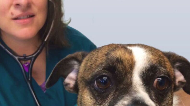 A Bissell Pet Foundation grant will allow Planned PEThood of Georgia to offer discount spay/neuter procedures to dog and cat owners in Norcross. (Courtesy Planned PEThood of Georgia)