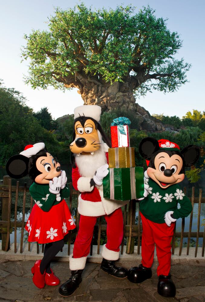 Holidays at Walt Disney World
