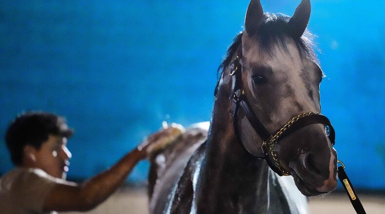 Kentucky Derby entrant Fulleffort gets a bath after a workout at Churchill Downs Monday, April 27, 2026, in Louisville, Ky. (AP Photo/Charlie Riedel)
