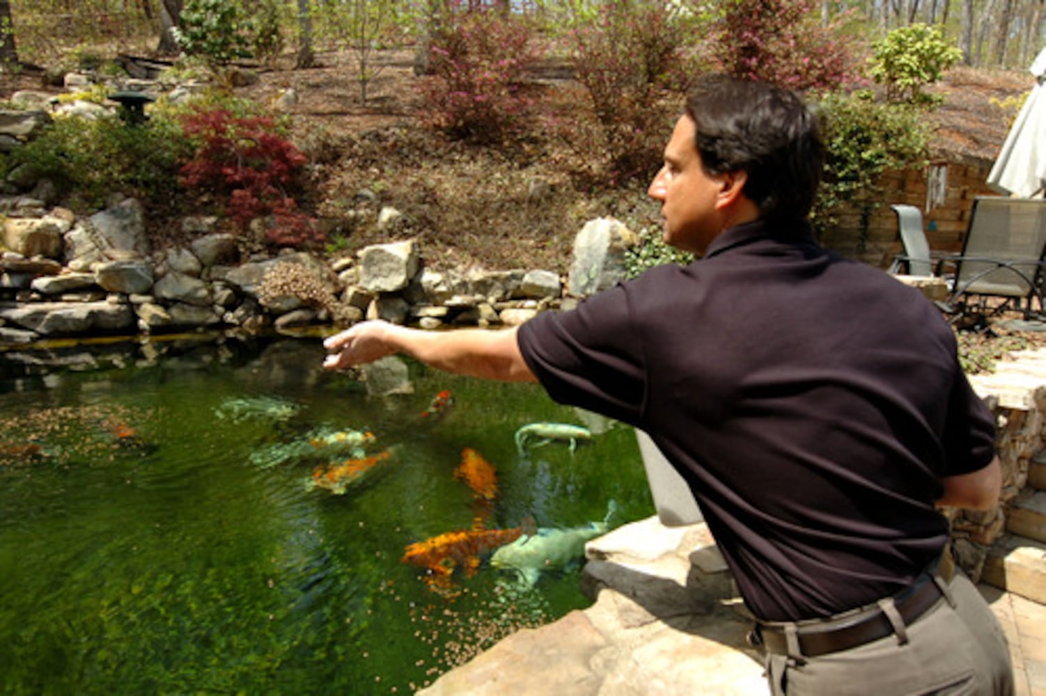 Atlanta Koi Club auction this weekend