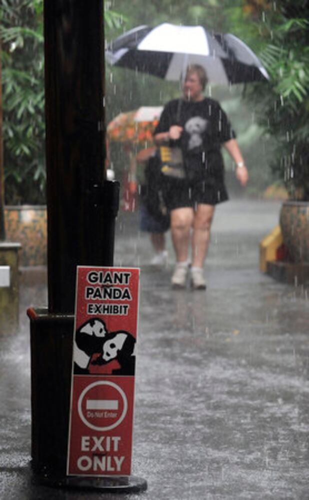 Giant Panda Photos: Birthday party at Zoo Atlanta