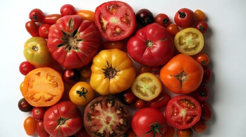 Tomatoes photographed in the studio. (Anthony Souffle/Minneapolis Star Tribune/TNS)