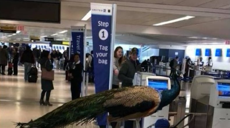 Source: The Jet Set on Facebook