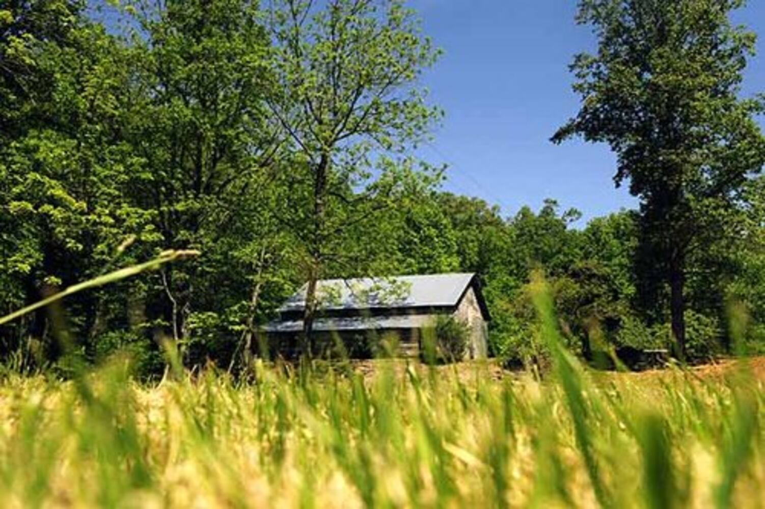 Farm of poet Byron Herbert Reece being restored