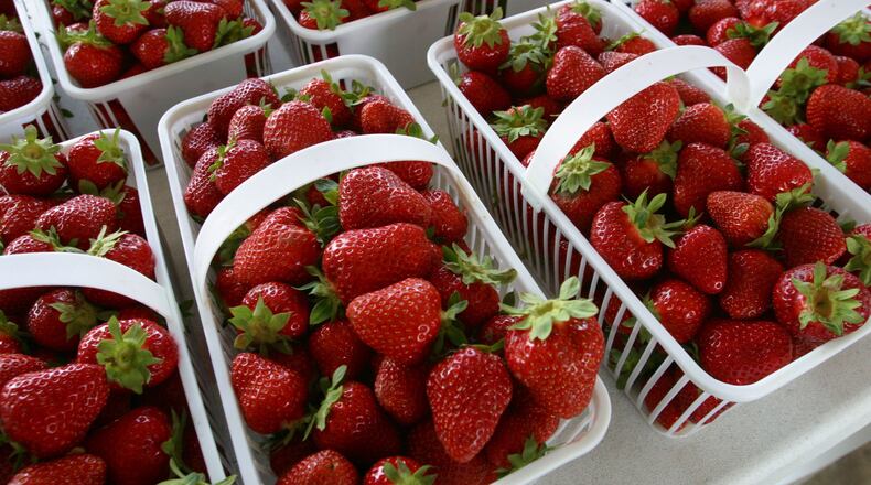 Pick your own strawberries at Washington Farms in Loganville.