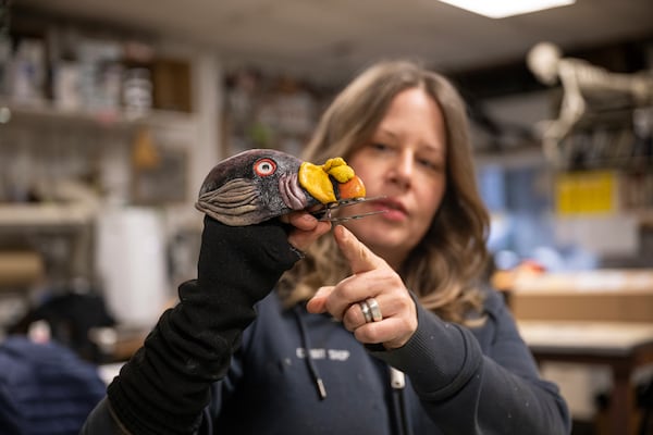 EGAD Manager Carolyn Fuchs explains how a king vulture hand puppet operates, March 2025, at the Bronx Zoo in the Bronx borough of New York. (Terria Clay/Wildlife Conservation Society via AP)