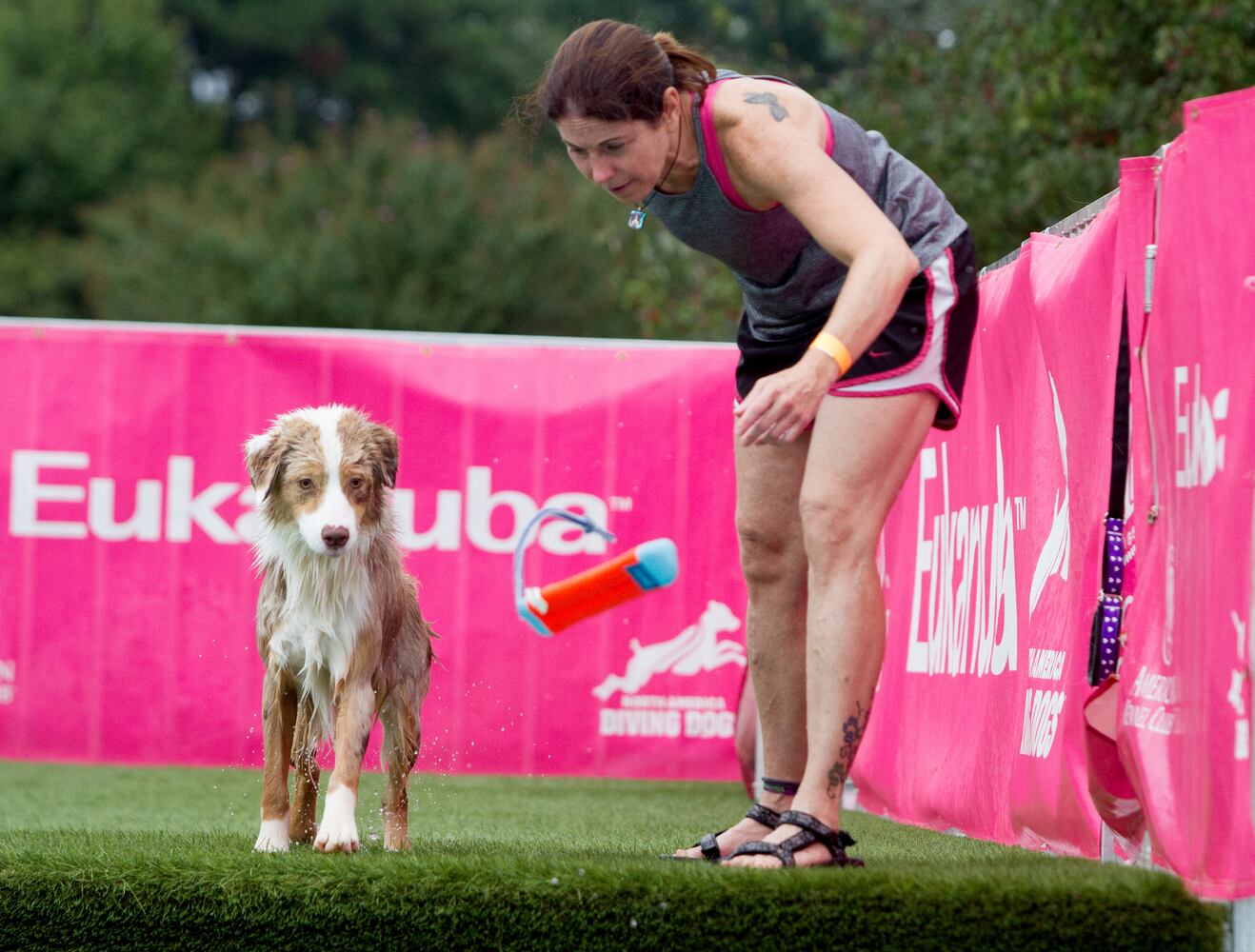 Photos: Woofstock brings pet party in Cobb