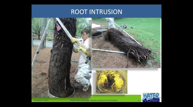 The DeKalb County Board of Commissioners voted to award a $7.2 million contract to remove trees and grease from clogged sewer lines. Photo credit: DeKalb County