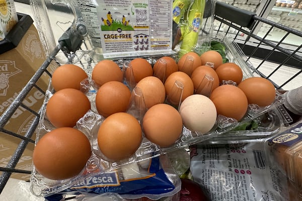 FILE - Eggs sit in a container in a shopping cart at grocery store, Monday, Jan. 27, 2025, in Windham, Maine. (AP Photo/Robert F. Bukaty, File)