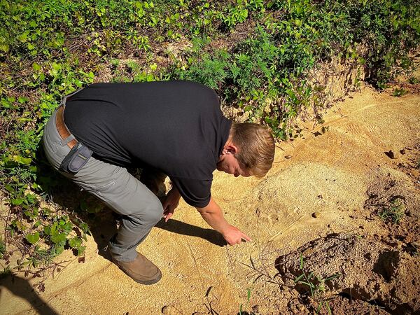Jim Gillis has learned to identify the distinct track left by tegus. This track turned up in a Tattnall County ditch. (Mark Davis for the AJC)