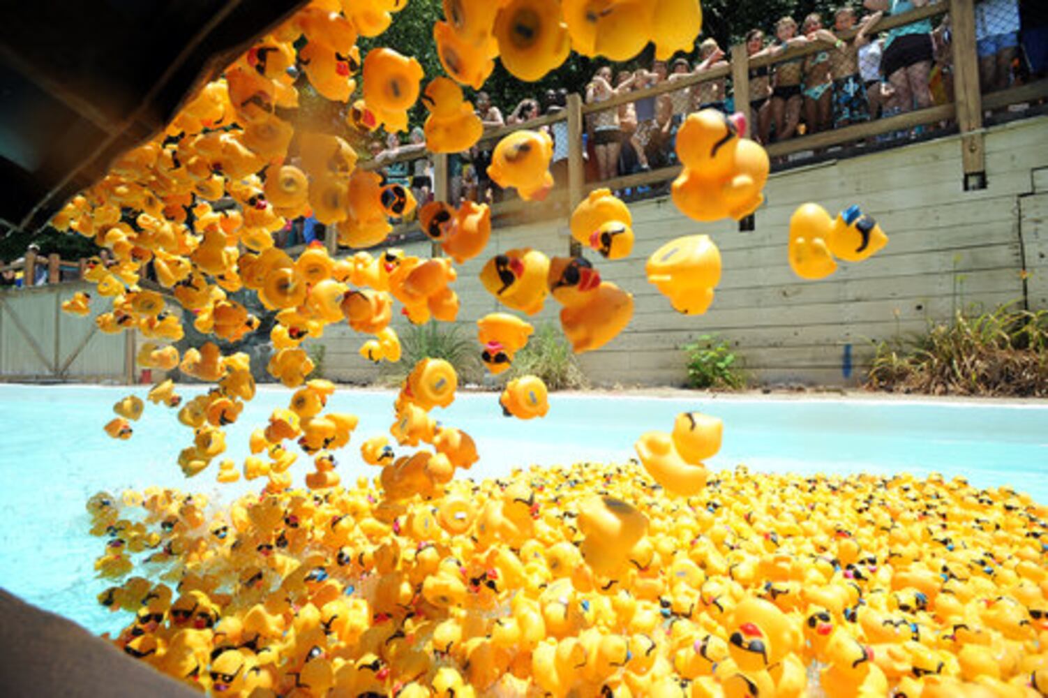 Rubber duck derby benefits Special Olympics