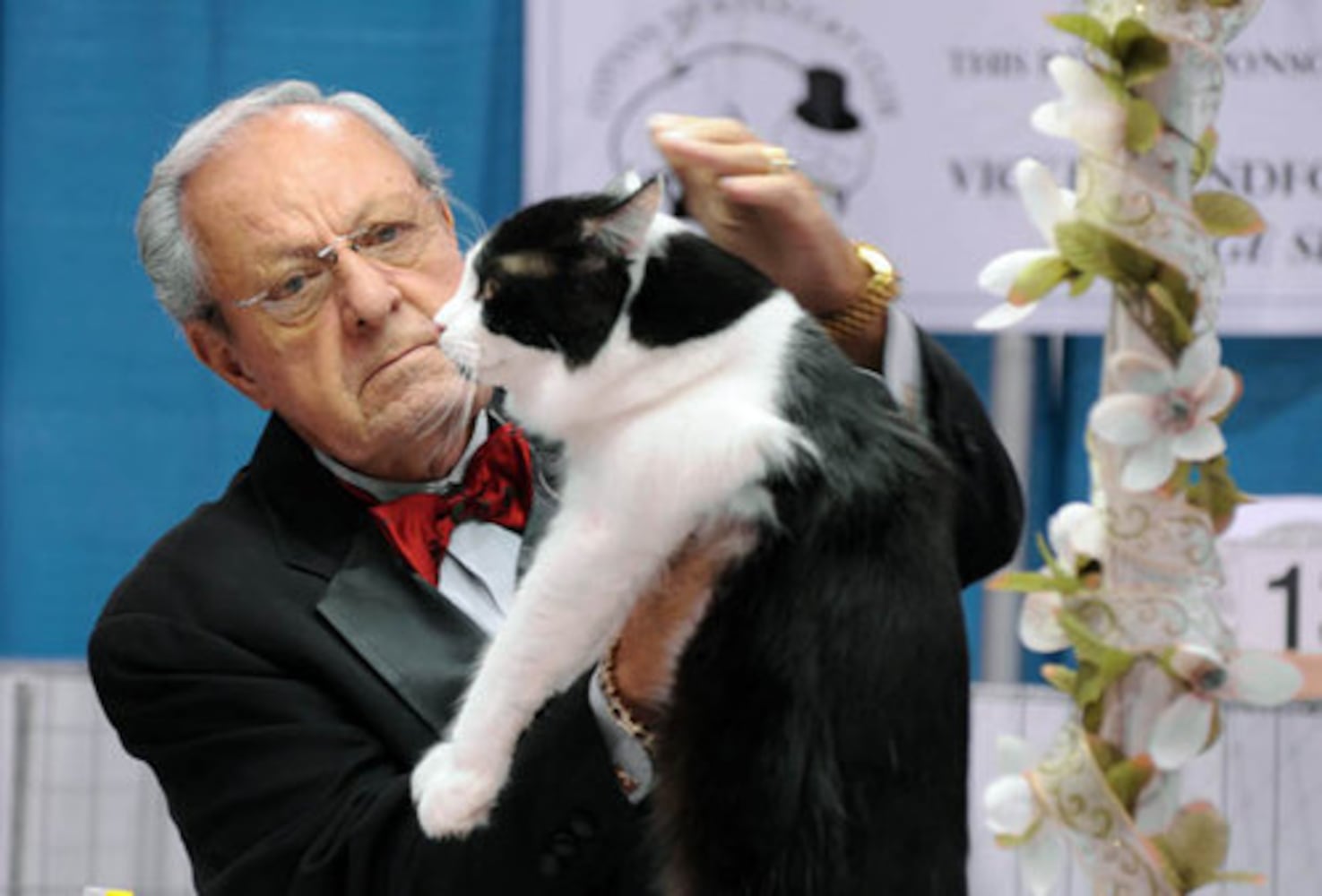 Cotton States Cat Club CFA Championship
